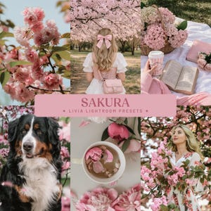 Sakura Lightroom-presets, zachte pastel-presets voor portret- en lentefotografie, kersenbloesem-presets (mobiel en desktop)