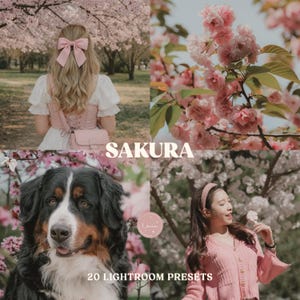 May include: A collage of images with cherry blossoms, a woman with a pink bow, a dog, and a woman holding a flower. The word "SAKURA" is displayed in the centre, with "20 LIGHTROOM PRESETS" below.