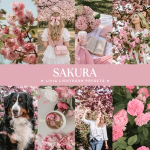 Può includere: Un collage digitale con fiori di ciliegio rosa, una persona in abito bianco con fiocco rosa, un picnic con libro e fiori, una persona in abito floreale, un bovaro del bernese, una tazza di tè con petali e il testo SAKURA LIVIA LIGHTROOM PRESETS.