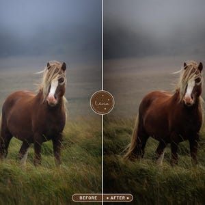 May include: A brown horse with a white blaze on its face stands in a field of green grass. The horse has a long, flowing mane and tail. The background is a misty, gray sky.