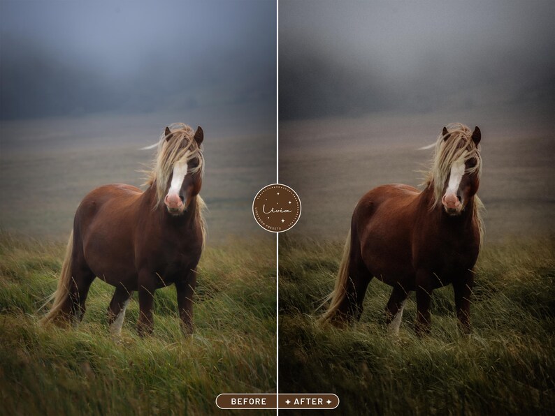 May include: A brown horse with a white blaze on its face stands in a field of green grass. The horse has a long, flowing mane and tail. The background is a misty, gray sky.