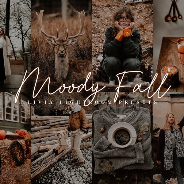 MOODY FALL Lightroom Presets, Moody Autumn Presets, Moody Presets for Fall Photography, Moody Instagram Theme Filters, Mobile & Desktop