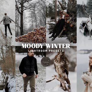 MOODY WINTER Lightroom Presets, Moody Rich Presets for Winter Outdoor Photography, Snowy Landscape and Wildlife Filters, Mobile & Desktop