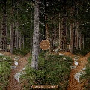 May include: A before and after image showing the difference in a photo editing technique. The before image shows a dark, dense forest with a path leading through it. The after image shows the same forest, but the colors are brighter and more vibrant, and the path is more clearly defined.