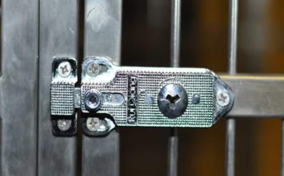 Stainless Steel Bird Cage Latch – Heavy Duty Aviary Lock - Etsy