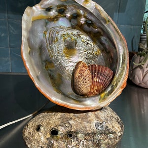 Vintage Abalone Shell Lamp