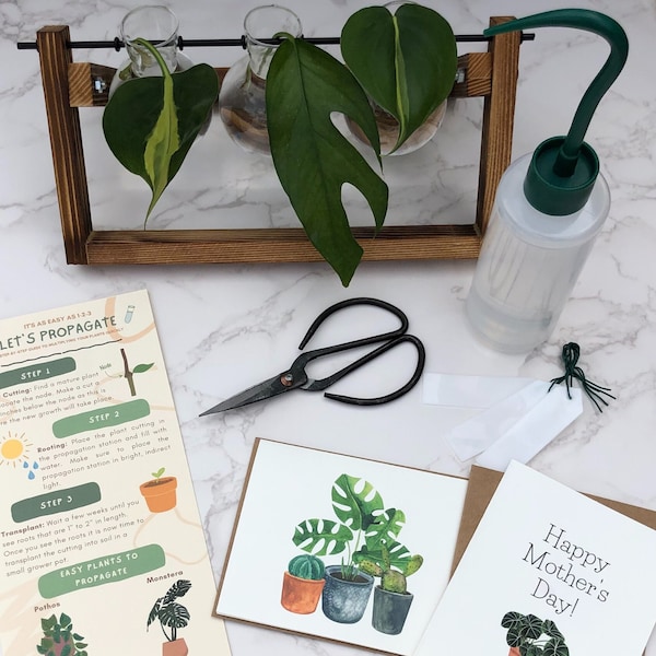 Propagation Station Gift Box, Plant Lover Gift, Eco Friendly, Mothers Day Gift, Gift for Mom, Personalized Gift, Plant Cuttings, Plant Stand
