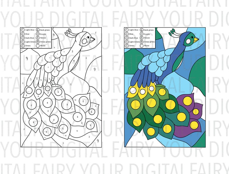 Peacock Color by Number for Kids Page Printable Activity for - Etsy