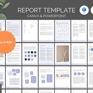 Plantilla de informe profesional: informe editable con elementos visuales y apéndice