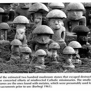May include: A collection of grey stone sculptures shaped like mushrooms, featuring carved human and animal faces on the stems. The text below reads: A few of the estimated two hundred mushroom stones that escaped destruction, despite the concerted efforts of misdirected Catholic missionaries. The smaller mushroom stones are the ones found with metates, which were presumably used for grinding the sacraments prior to use (Borhegi 1961).
