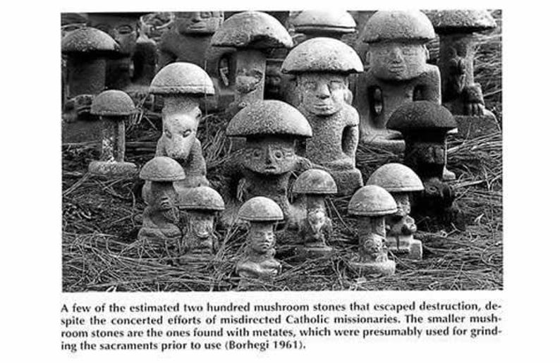 May include: A collection of grey stone sculptures shaped like mushrooms, featuring carved human and animal faces on the stems. The text below reads: A few of the estimated two hundred mushroom stones that escaped destruction, despite the concerted efforts of misdirected Catholic missionaries. The smaller mushroom stones are the ones found with metates, which were presumably used for grinding the sacraments prior to use (Borhegi 1961).