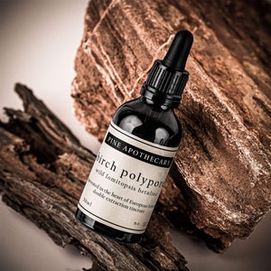 Bouleau Sauvage Polypore Teinture Double Extraction 50 ml Fomitopsis Betulina