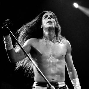 Shirtless Anthony Kiedis / Red Hot Chili Peppers Band / Anthony Kiedis of Red Hot Chili Peppers / Lollapalooza concert poster /