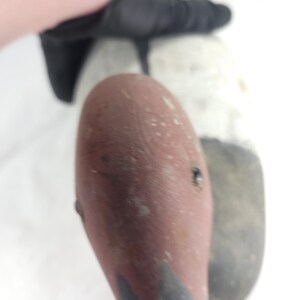 May include: A close-up of a wooden duck decoy. The decoy features a brown head, a white and gray body, and black accents. The decoy is partially visible, with the head and part of the body in focus.