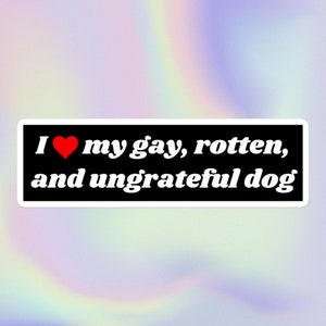 Amo a mi perro gay, podrido e ingrato / Impresión sarcástica y ofensiva divertida para amantes de las mascotas con estilo Y2K / Botella de agua o calcomanía para parachoques sin burbujas
