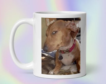 Bombastic Side Eye Dog | Funny Sarcastic Judgemental Dog Meme Print | White Glossy Mug
