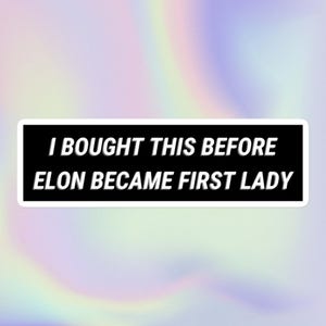 Compré esto antes de que Elon se convirtiera en Primera Dama / Impresión divertida, específica, irónica, política, anti-Elon y anti-Trump / Pegatina para parachoques sin burbujas
