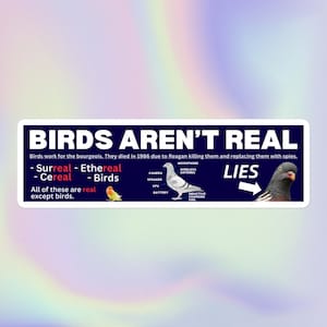 Los pájaros no son reales / Meme divertido, sarcástico, ofensivo, aleatorio, maldito, desquiciado y conspirativo / Botella de agua o pegatina para el parachoques sin burbujas