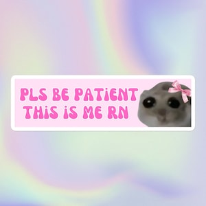 Please Be Patient This Me Right Now | Funny Sarcastic Cute Sad Hampster Viral Meme | Bubble-Free Water Bottle or Bumper Sticker