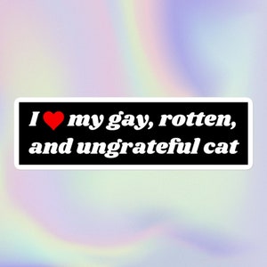Amo a mi gato gay, podrido e ingrato / Meme divertido, sarcástico, ofensivo y tonto para amantes de las mascotas / Botella de agua o calcomanía para parachoques sin burbujas