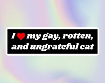I Love My Gay, Rotten, and Ungrateful Cat | Funny Sarcastic Offensive Silly Pet Lover Meme | Bubble-Free Water Bottle or Bumper Sticker