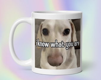 I Know What You Are | Funny Offensive Sarcastic Iconic Judgemental Dog Meme Print | White Glossy Mug