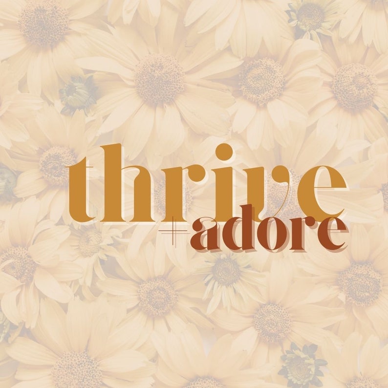 Mini Branding Kit with Color Palette and Canva Free Font Pairing Thrive Adore image 6