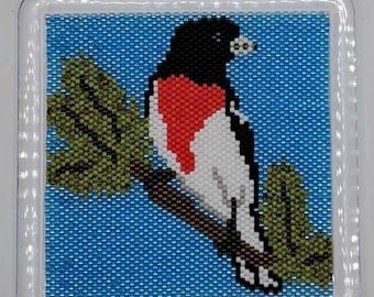 Rose Breasted Grosbeak Coaster