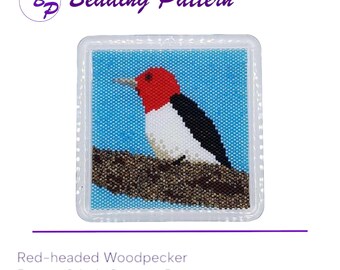 Red Headed Woodpecker Coaster