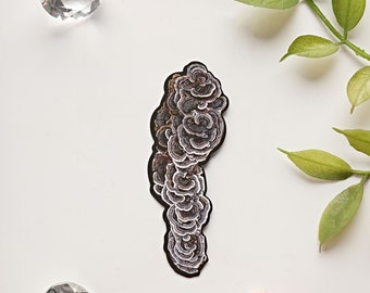 Mushroom Art Sticker of Turkey Tail from Neilltown, Pennsylvania