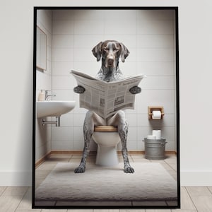 Foto di un Bracco tedesco a pelo corto che legge il giornale sul water, Decorazione umoristica per WC, Cornice decorativa per il bagno, Poster per WC, Regalo divertente