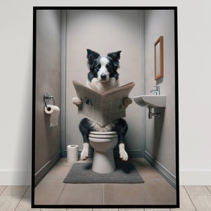 Foto di un Border Collie che legge il giornale sul water, Decorazione umoristica del WC, Cornice decorativa per il bagno, Poster della toilette, Regalo divertente