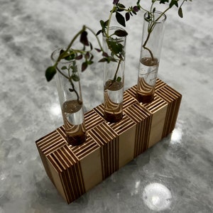 May include: Three glass test tubes containing small green plants are placed in a wooden stand. The stand is made of light brown wood with a geometric pattern.