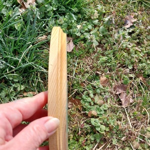 Può includere: Primo piano di un disco rotondo in legno con una finitura liscia di colore marrone chiaro. Il disco ha un bordo leggermente arrotondato ed è tenuto in una mano.