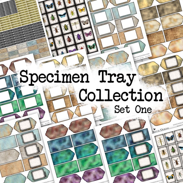 Specimen Tray Collection - Set One - DI-10186 - Printable Digital Download