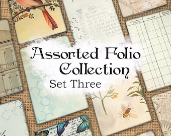 Colección Folio Surtida - Set Tres - DI-10059 - Descarga Digital Imprimible