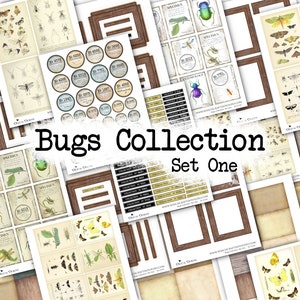 Może przedstawiać: Cyfrowy arkusz kolażu z różnymi ilustracjami owadów, motyli i ćmy. Arkusz zawiera etykiety, ramki i tekst, który brzmi "Bugs Collection Set One".