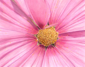 Cosmos Flower Art Print: Pink Floral Watercolor (9”x12”, Unframed)