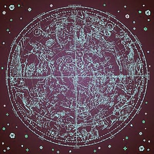 30 minute Video Astrology Reading