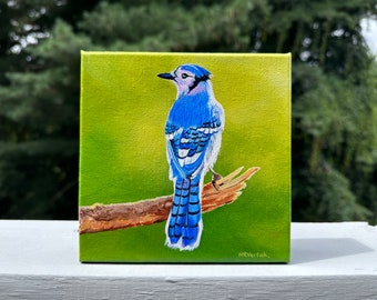 Blue Jay Bird Acrylic Painting | Original Bird Painting On 6"x6" Canvas | Art For Home Decor Kids Room | Thanksgiving Gift | Neha Vartak Art