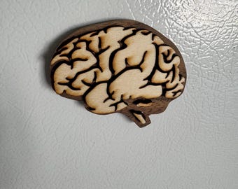 May include: A wooden brain-shaped object. The interior is light brown, and the outline is dark brown. The design shows the brain's folds. It could be a decorative item or a craft supply.