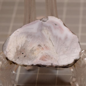 Puede incluir: Una sección transversal pulida de una piedra de ágata, que muestra una mezcla de tonos blancos, rosas y grises. La piedra está montada sobre un soporte de exhibición de plástico transparente. La ágata mide aproximadamente 7.6 cm de largo.