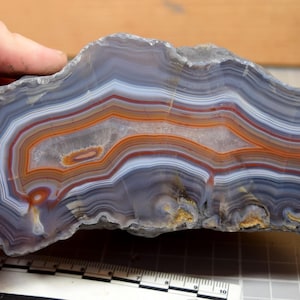 Puede incluir: Una sección transversal pulida de una piedra de ágata, que muestra bandas concéntricas de color. La piedra presenta capas de tonos grises, blancos, naranjas y rojos. La piedra natural es sostenida por una mano, revelando sus intrincados patrones y texturas.