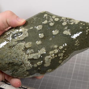 May include: A smooth, rounded rock with a mottled pattern of green and off-white. The rock is held in a hand, and its surface glistens with moisture. The stone's shape is irregular, and it appears to be a natural, unpolished specimen.