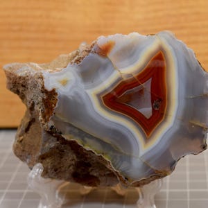 Puede incluir: Una piedra de ágata pulida con un patrón llamativo. El centro presenta una forma triangular de color rojo intenso rodeada de bandas blancas, grises y amarillas. Los bordes exteriores son ásperos y marrones, mostrando la formación rocosa natural. La piedra se exhibe sobre un soporte transparente.
