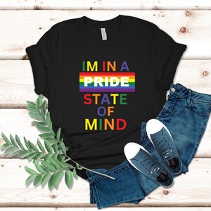 Im In A Pride State Of Mind Shirt-Funny Pride Month T-Gay Pride Shirt-LGBTQ Gift-Lesbian T shirt-Unisex Pride Gift Tee For Gay Man Or Women