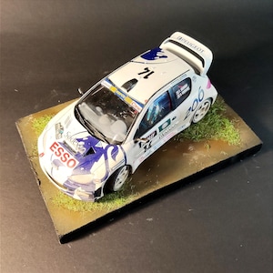 Rally Car Peugeot 206 WRC in 1:24 scale, pro built model with handmade display stand