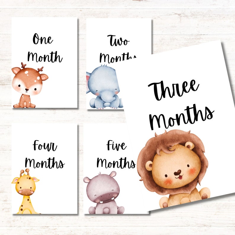 Baby Milestone Cards Printable Digital Download Babyshower Gift DIY Monthly Milestone Instant ...