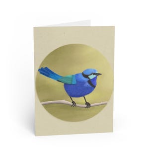 Australian Birds Fairy Wren Blank Notecard
