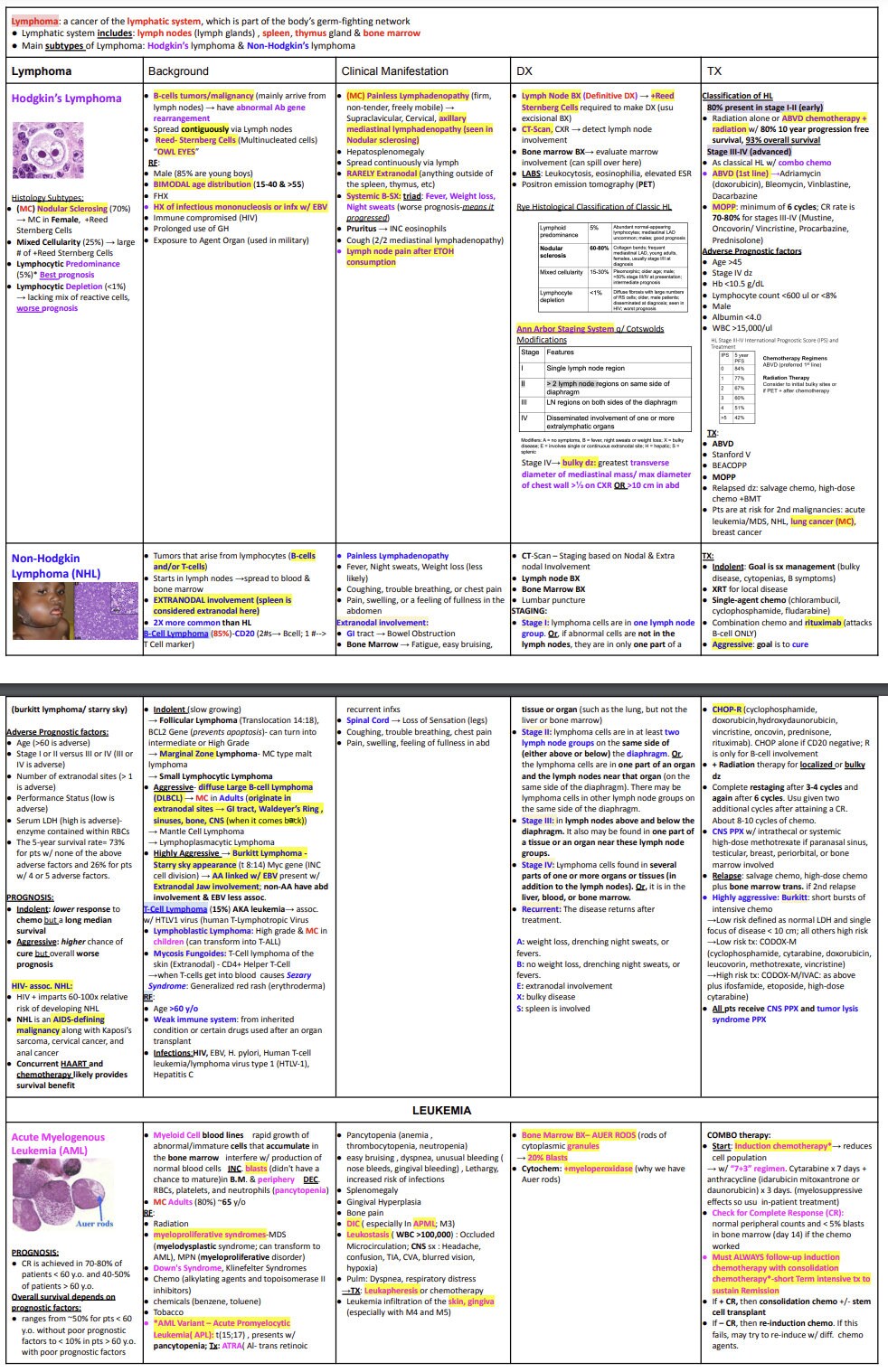 Hematological Malignancies Chart - Etsy